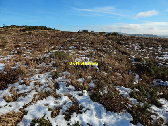 Photo 6"x4" Old track on Carman Muir: middle section Ardoch\/NS3676 c2015