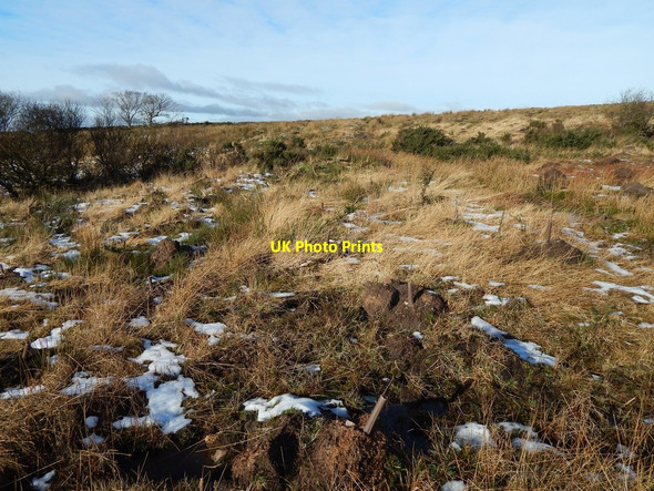 Photo 6"x4" Old track on Carman Muir: western section Ardoch\/NS3676 c2015