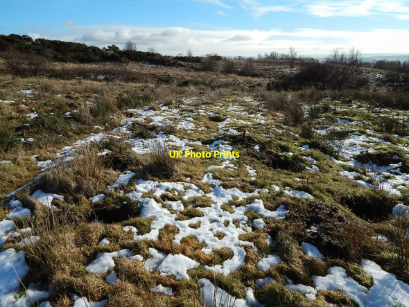 Photo 6"x4" Old track on Carman Muir: western section Ardoch\/NS3676 c2015