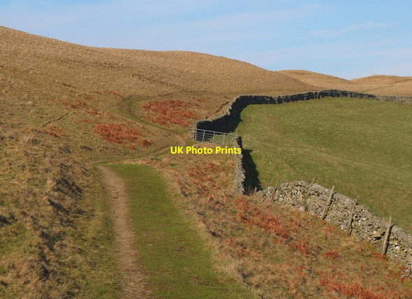 Photo 6"x4" Track above The Whaum, Cademuir Bellanrigg c2015