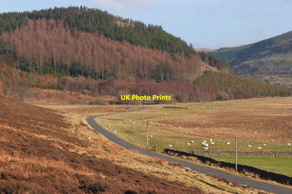 Photo 6"x4" Cademuir Hill and road from Peebles Bellanrigg c2015