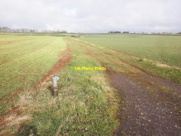 Photo 6"x4" Fields, near Thurloxton West Newton\/ST2829 c2015