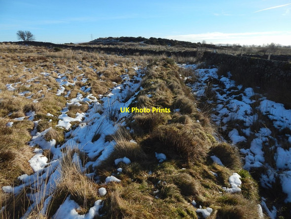 Photo 6"x4" Old field dyke Ardoch\/NS3676 c2015