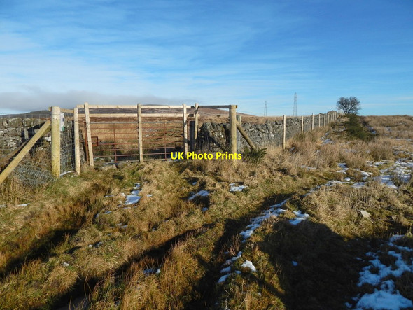 Photo 6"x4" Gate in dry-stone dyke Ardoch\/NS3676 c2015