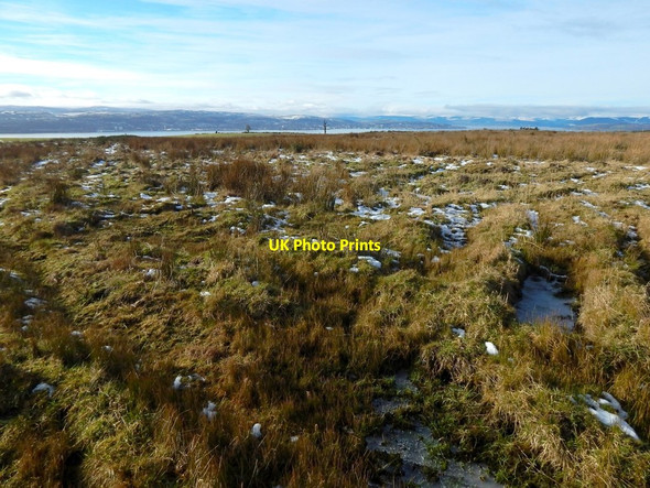 Photo 6"x4" New plantation Ardoch\/NS3676 c2015