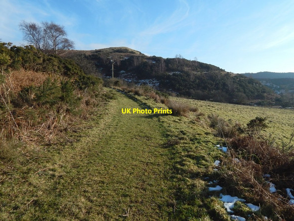 Photo 6"x4" Track to Dumbowie Hill Dumbarton c2015