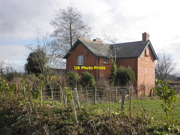 Photo 6"x4" House at Knapper's Barton Clavelshay c2015
