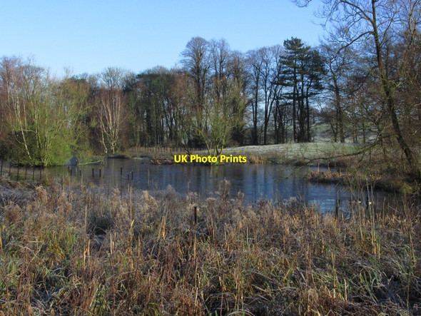 Photo 6"x4" Frozen pond, N side of Hare Hill NT, Over Alderley Greendale\/SJ8877 c2014