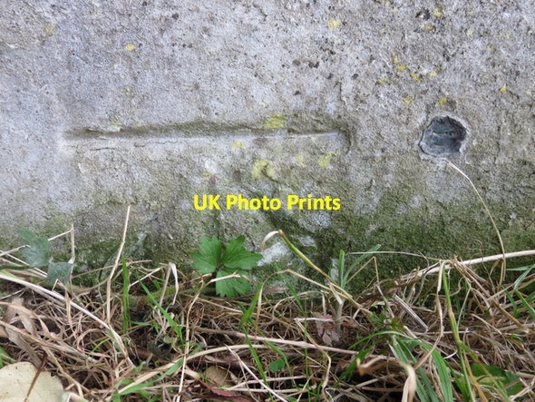 Photo 6"x4" Bench mark and bolt near Pembroke Lodge Richmond\/TQ1874 c2014