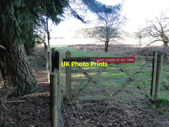 Photo 6"x4" Gate to and from the firing range East Wretham\/TL9190 c2015