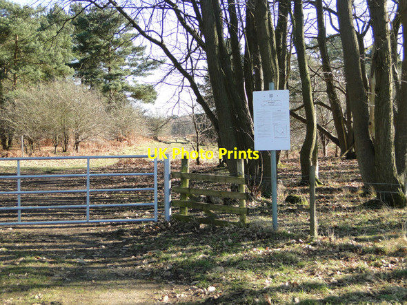 Photo 6"x4" One of the many entrances to STANTA East Wretham\/TL9190 c2015