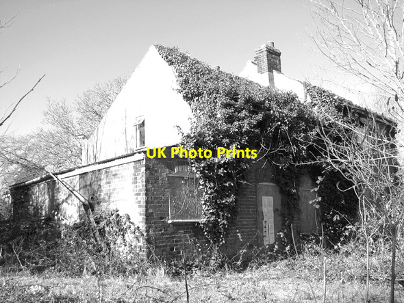 Photo 6"x4" Derelict house Freethorpe c2015