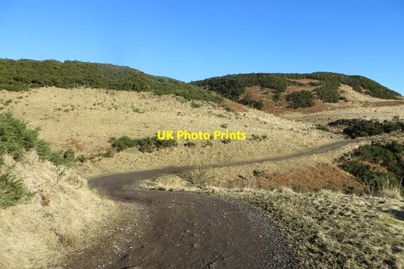 Photo 6"x4" Hill road between Fingask and Bandirran Kinnaird\/NO2428 c2015