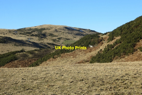 Photo 6"x4" Sidlaw Hills Kinnaird\/NO2428 c2015