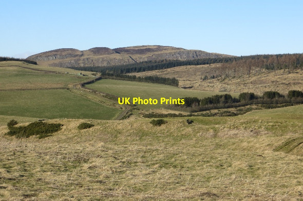 Photo 6"x4" On Kinnaird Hill Kinnaird\/NO2428 c2015