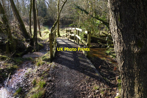 Photo 6"x4" Footpath crosses stream in Roundwood Copse Aldermaston Soke c2015