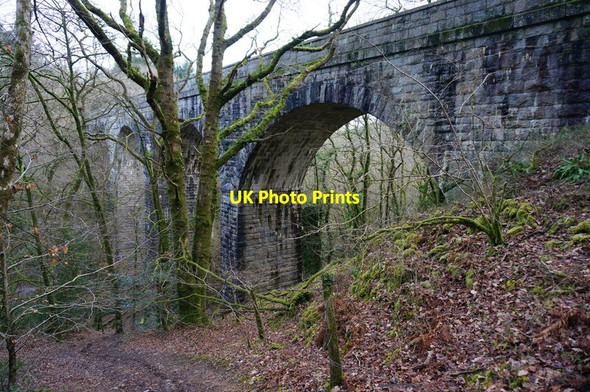 Photo 6"x4" Riverford Viaduct Glenholt c2015