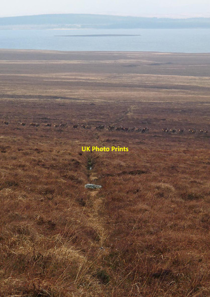 Photo 6"x4" Moorland drainage channel, Achnamoine, Sutherland Glen Hill\/NC7830 c2015