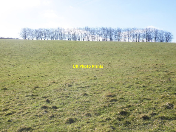 Photo 6"x4" Pasture on Round Hill Ashbeer c2015