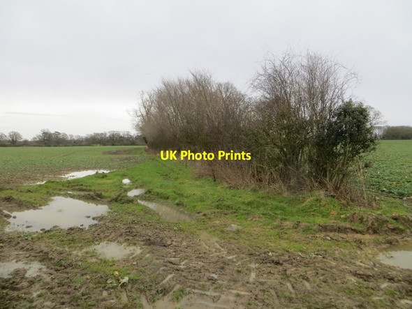 Photo 6"x4" Farmland near Walford Walford Heath c2015