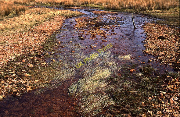 Photo 6"x4" Red Gill Upper Mosedale Loweswater\/NY1420 c1992