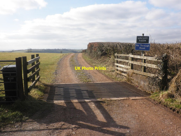 Photo 6"x4" Track to Upcott Farm Chipstable c2015
