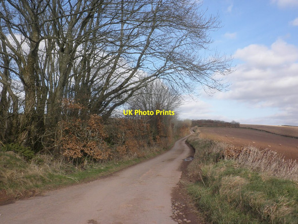 Photo 6"x4" Stonebridge Lane Chipstable c2015