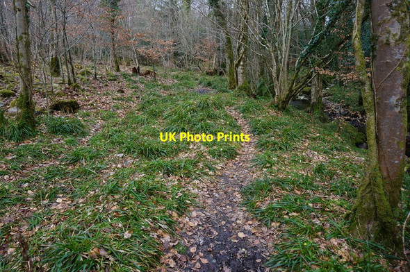 Photo 6"x4" Permissive Path to Shaugh Bridge Shaugh Prior c2015