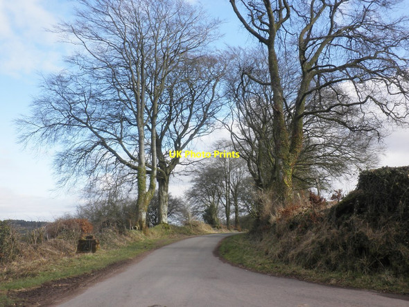 Photo 6"x4" Challick Lane Chipstable c2015