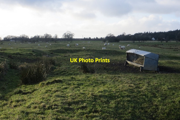 Photo 6"x4" Field beside Loud Bridge Road Hesketh Lane c2015
