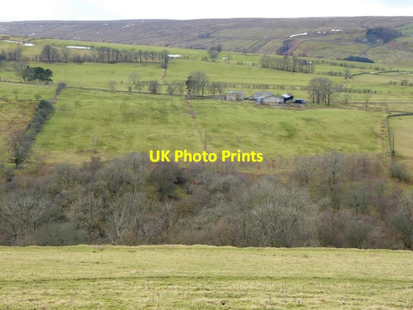 Photo 6"x4" View across West Allendale Limestone Brae c2015