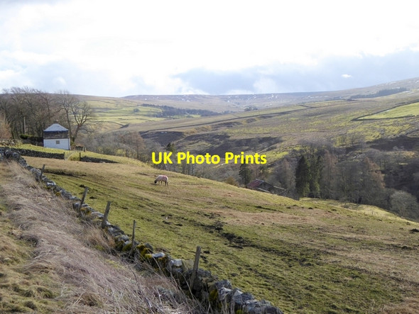 Photo 6"x4" West Allendale Limestone Brae c2015