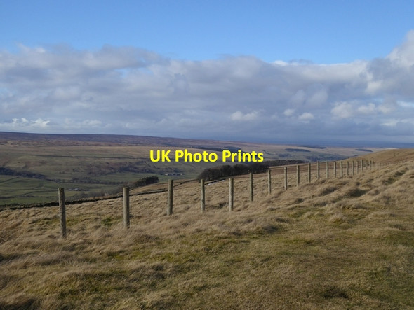 Photo 6"x4" Fence line above West Allendale Limestone Brae c2015