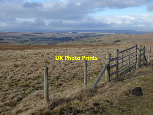 Photo 6"x4" Gate and fence above West Allendale Limestone Brae c2015
