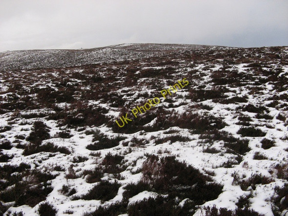 Photo 6"x4" Southern slopes of Foel Cwm Sian Llwyd. Trum y Sarn c2008