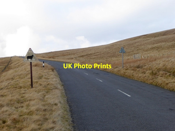 Photo 6"x4" The road to Allendale Limestone Brae c2015