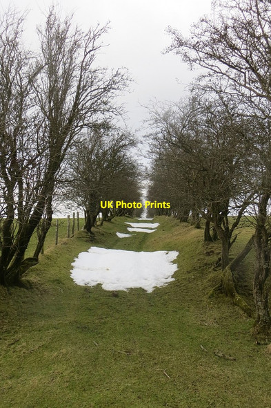 Photo 6"x4" An old track Felindre\/SO1681 c2015