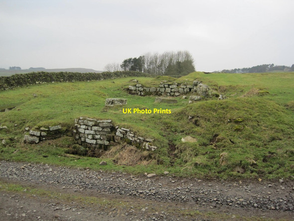 Photo 6"x4" Remains of Aesica Roman Fort at Great Chesters Haltwhistle c2015