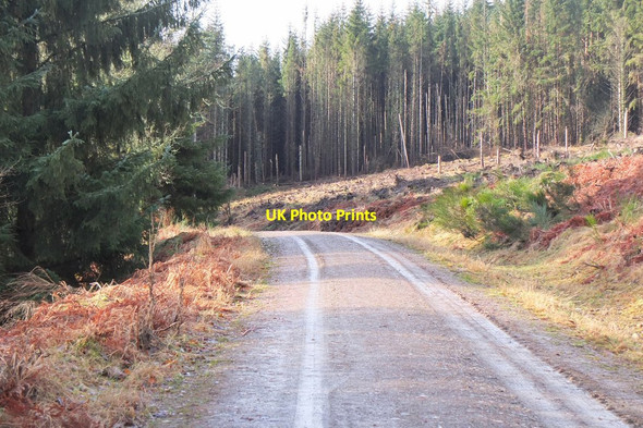Photo 6"x4" Forest road, Drummond Hill Kenmore\/NN7745 c2015
