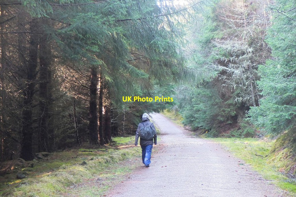 Photo 6"x4" Forest road, Drummond Hill Kenmore\/NN7745 c2015