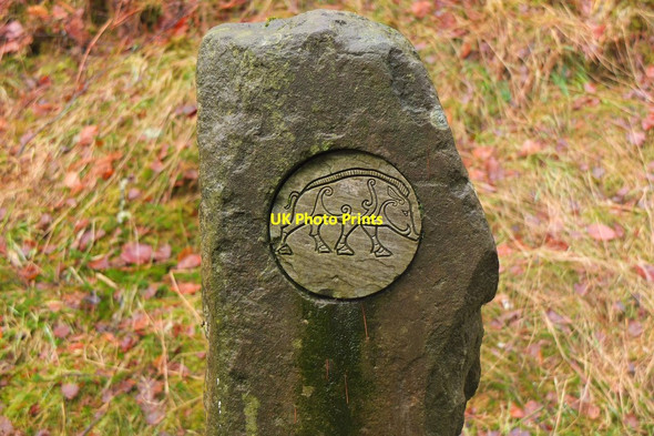 Photo 6"x4" Wild Boar waymark, Drummond Hill Kenmore\/NN7745 c2015