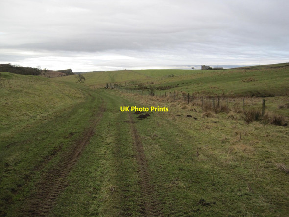 Photo 6"x4" Bridleway towards Gunnerton Great Swinburne c2015