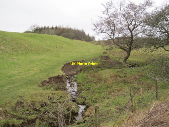 Photo 6"x4" Coal Burn Birtley\/NY8778 c2015