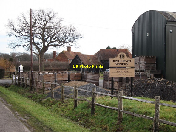 Photo 6"x4" Hush Heath Winery Marden Thorn c2015