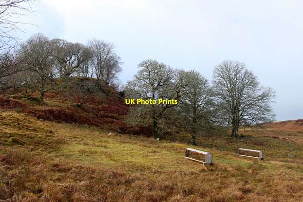 Photo 6"x4" Rough farmland at Bar-a-goan between Kilmore and Connel Achaleven c2015