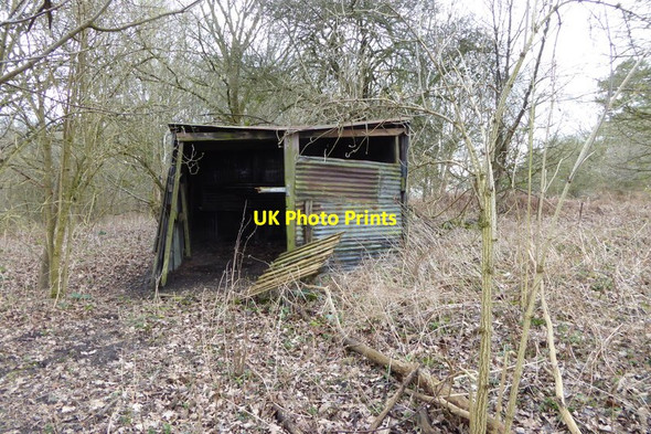 Photo 6"x4" Derelict shed by Callow Hill Egham c2015