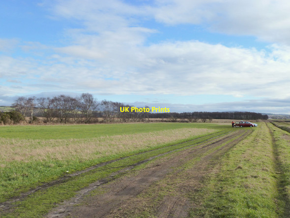 Photo 6"x4" Path between Wham Bridge and Wood Lane at Hoscar Moss Black Moor\/SD4714 c2015