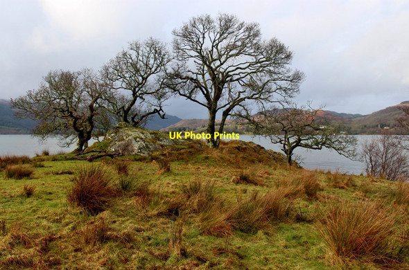 Photo 6"x4" Rocky knoll with oaks at the Kyles of Bute Colintraive c2015