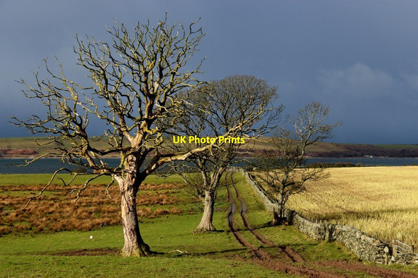 Photo 6"x4" Track to the shore by Carrick Point Straad c2015
