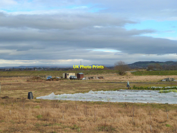 Photo 6"x4" Community vegetable growing at Marsh Moss near Prescott Bridge Black Moor\/SD4714 c2015